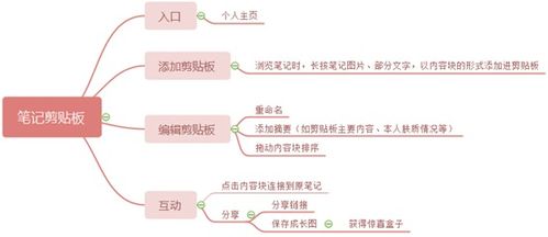 小红书 干货种草与广告营销的平衡之道